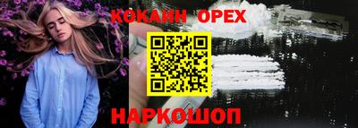 крисы Славгород