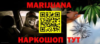крисы Славгород