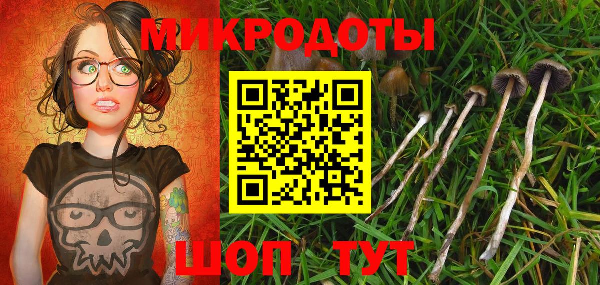 Пенза  Псилоцибиновые грибы ЛСД  Вход с VPN 